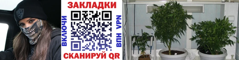 Названия наркотиков Онега Кокаин  Бошки Шишки  АМФ  СОЛЬ  МЕТАДОН  Мефедрон  ГАШИШ 