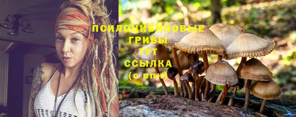 МДМА Богородск