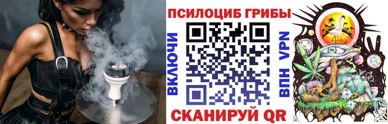 Псилоцибиновые грибы MAGIC MUSHROOMS  купить наркотик  MEGA как войти  Онега 