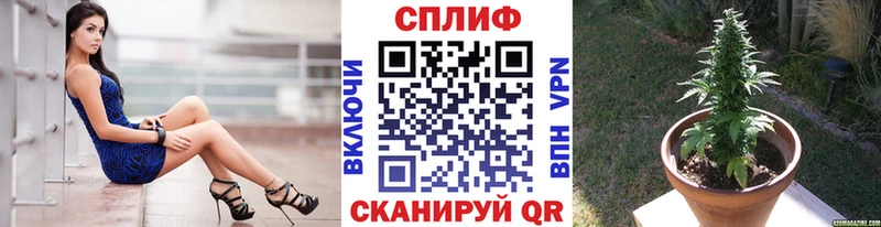 Каннабис Amnesia  Онега 
